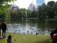 Boston Common_4
